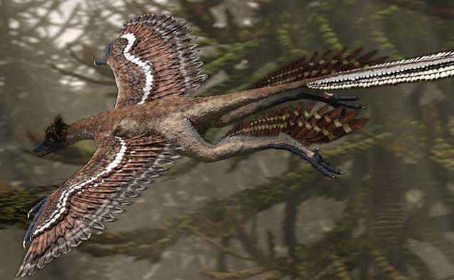 Microraptor ( binatang purba ) legend of old animals 